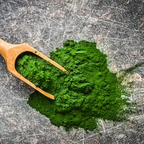 Chlorella green algae