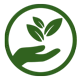 Plant-based formula icon